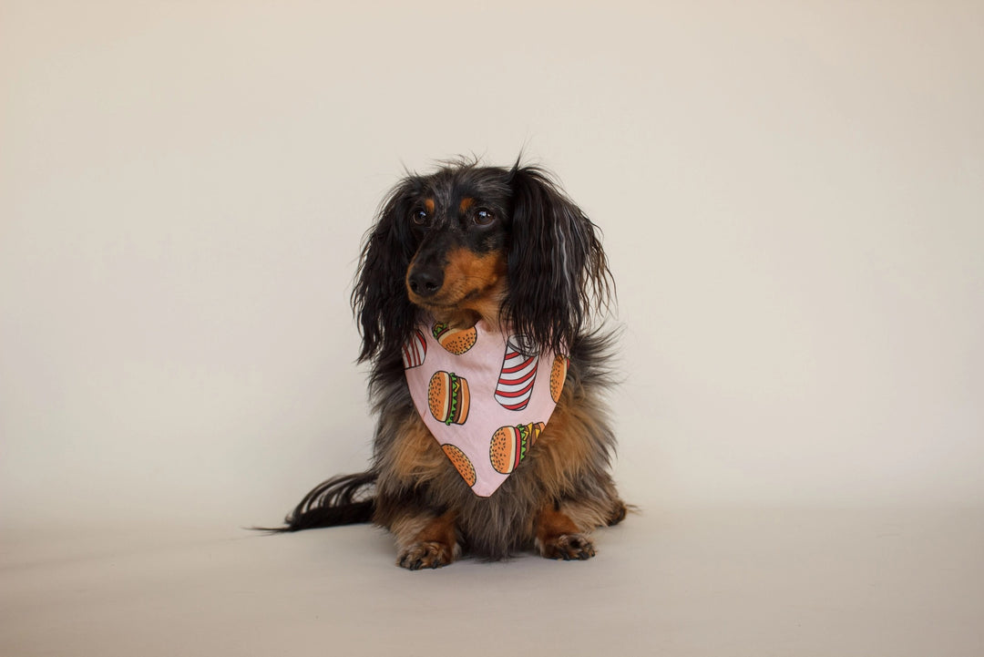 Burgers Dog Bandana | Over the Collar