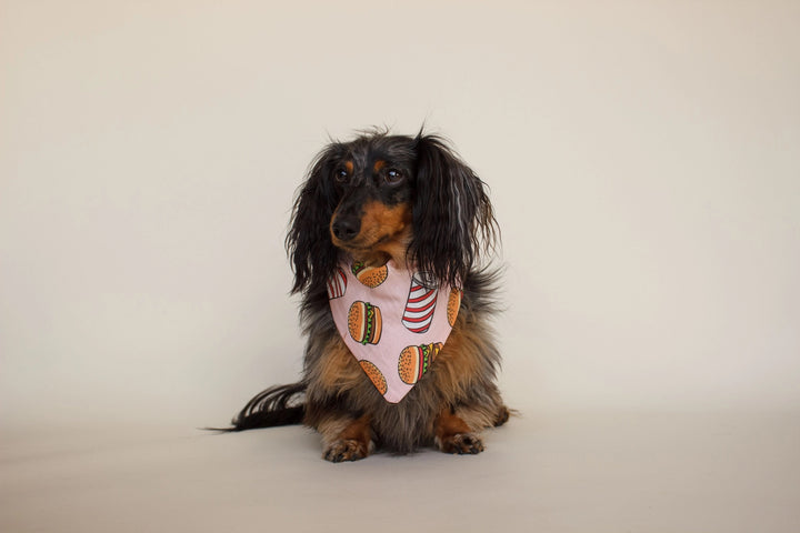 Burgers Dog Bandana | Over the Collar