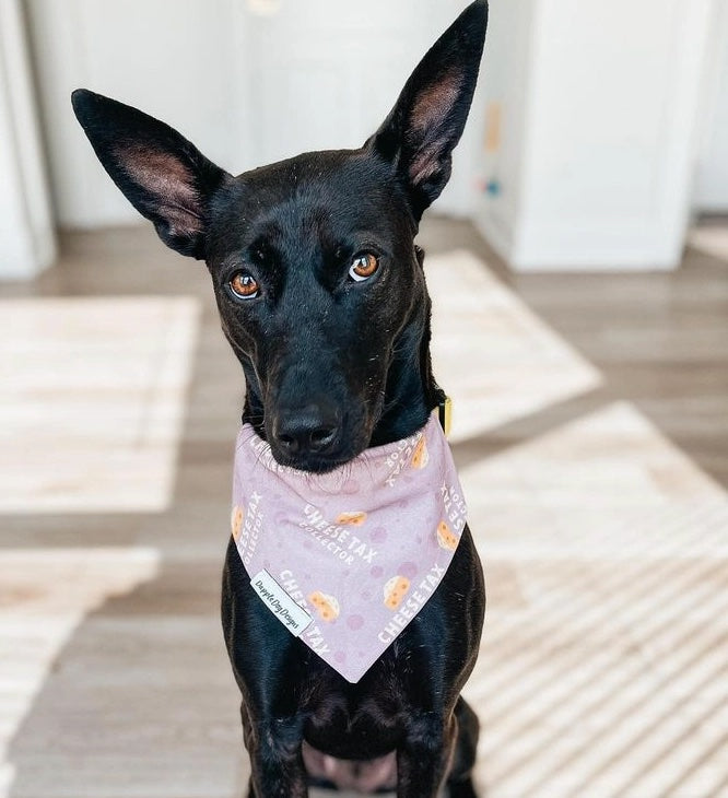 Cheese Tax Collector Bandana | Tie On