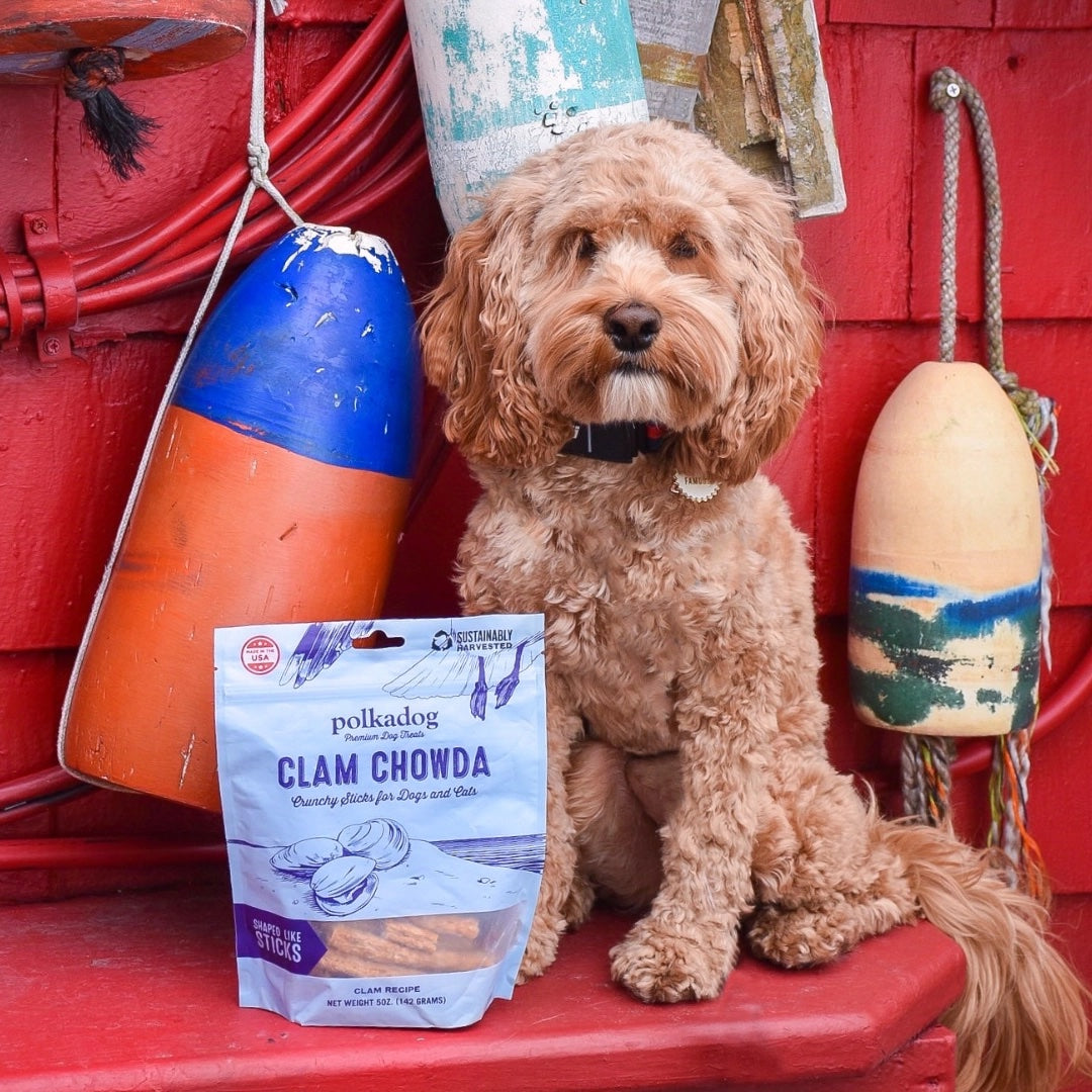 Clam Chowda Dog Treats