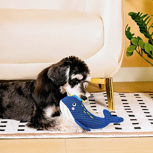 Whale Plush Dog Toy